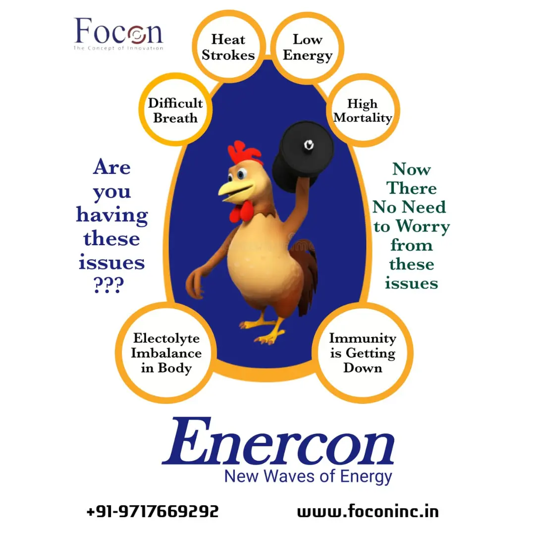 focon enerfon for hen