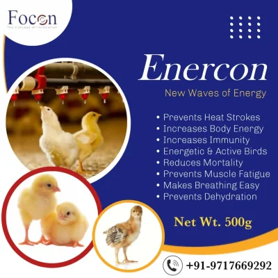 Enercon