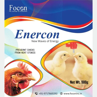 focon enercon